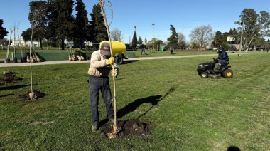 El Municipio y la Mesa de Arbolado Urbano realizaron una plantación en el Parque Mitre de Hinojo