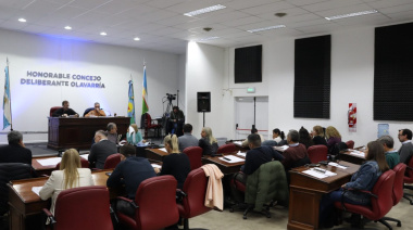 Declararon “Vecina Destacada” a la doctora olavarriense Soledad Arbío por su trayectoria en el Hospital Garrahan