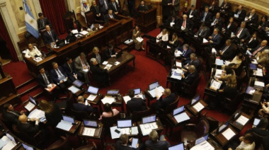 El Senado rechazó los vetos presidenciales en Garrahan y universidades