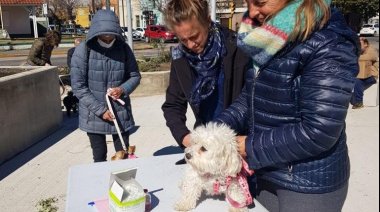 Reprogramación de la jornada de vacunación antirrábica en Villa Mailín