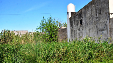 El Municipio ya intimó alrededor de 50 a propietarios de terrenos en mal estado