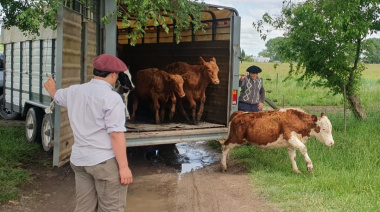 El Municipio recuperó animales y los entregó a la Escuela Agraria