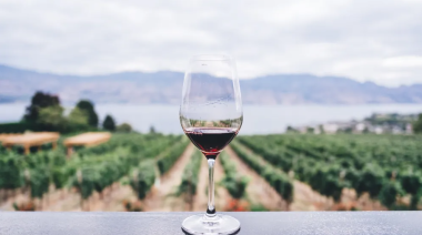 El Gobierno eliminó 973 normas y desregula la industria del vino: cuáles son los cambios