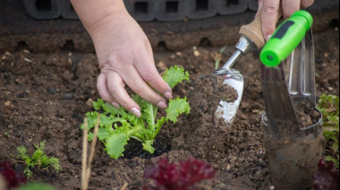 Inscripción abierta para el Taller de Huerta Agroecológica y Soberanía Alimentaria