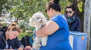 Bromatología desplegará un nuevo bloqueo ante la detección de rabia en un murciélago
