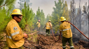 Olavarría está ubicada en zona de "riesgo muy alto" por incendios