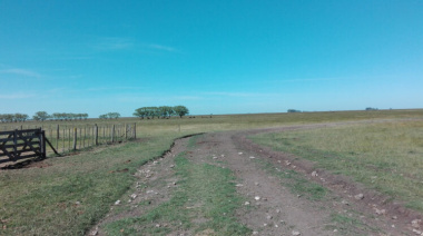 Más de 25 mil hectáreas de Olavarría están en manos de extranjeros
