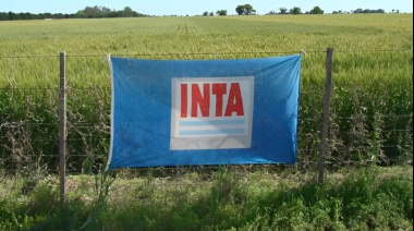 Sigue el ajuste en el INTA y cierran 14 agencias