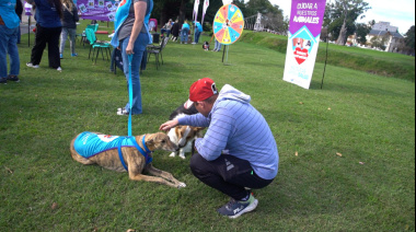 El Municipio impulsa una nueva campaña de adopción y cuidado responsable de animales de compañía