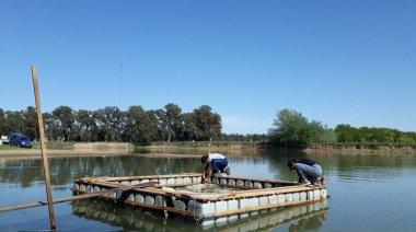 Científicos del CONICET impulsan la cría de pejerreyes en canteras abandonadas de Olavarría