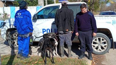 Infraccionaron a dos hombres por cazar con galgos en un campo rural de Espigas
