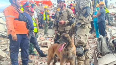 Bart, el perro argentino que ayudó a rescatar a dos menores de entre los escombros en Venezuela