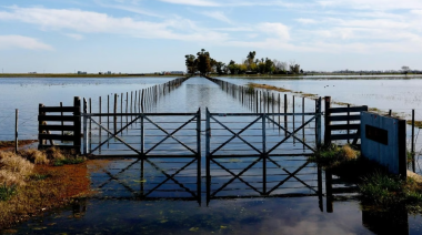 Qué hacer ante El Niño más intenso: lanzaron una guía para municipios bonaerenses