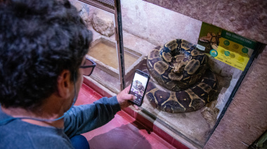 Octubre ambiental: Con gran marco de concurrentes se llevó a cabo el taller “Animales Venenosos”