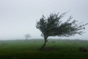 La semana arrancó con mucho frío y alertas por viento en Olavarría y gran parte de la Provincia