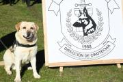 SPB de Sierra Chica: se jubiló un perro detector de estupefacientes y fue adoptado por su guía
