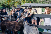 El Municipio abre la convocatoria al Programa de Voluntarios del Bioparque “Ecoguardianes”