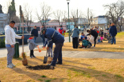 El Municipio celebra la Semana del Árbol con diferentes propuestas