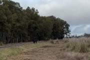 Sierra Chica: un hombre se quitó la vida en las vías del tren