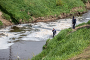 El Municipio de Olavarría analiza el agua del arroyo