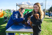 El Municipio continúa la campaña anual de vacunación antirrábica canina y felina