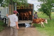 El Municipio recuperó animales y los entregó a la Escuela Agraria