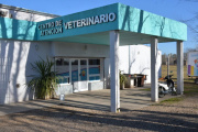Este miércoles no se realizarán esterilizaciones en el Centro Veterinario Municipal