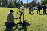 El Municipio realizó una Plantación Forestal en el Parque Municipal La Isla