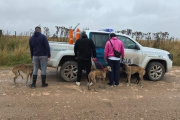 Tres hombres infraccionados por cazar con galgos en Loma Negra