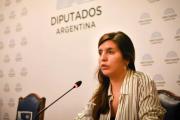 La ministra de Ambiente bonaerense denunció "censura" en la audiencia por la ley de Glaciares