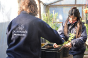 Ampliación y puesta en funcionamiento del Vivero de Plantas Nativas en el Bioparque Municipal “La Máxima”