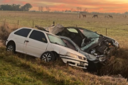 Camino de los Peregrinos: dos autos chocaron contra caballos que andaban sueltos
