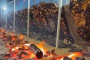 General Alvear celebra sus 157 años con asado gratis