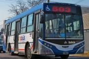 Servicio de colectivos en Olavarría: ¿Cómo funcionará el transporte público de pasajeros durante la final de la Copa del Mundo?