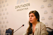 Provincia rechazó la nueva versión de la ley sobre venta de tierras a extranjeros: "es una trampa"