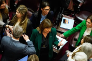 El Senado aprobó la ley de Propiedad Privada pero quitó la reforma del Manejo del Fuego a último momento