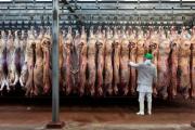 Argentina quedó fuera del nuevo cupo de 300.000 toneladas de carne que importará EE.UU.