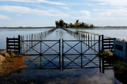 Qué hacer ante El Niño más intenso: lanzaron una guía para municipios bonaerenses
