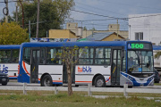 Transporte Urbano: Cambios en los recorridos de las líneas 500 y 502