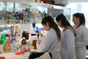 Salud lanza convocatoria para profesionales de hospitales bonaerenses