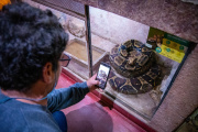 Octubre ambiental: Con gran marco de concurrentes se llevó a cabo el taller “Animales Venenosos”