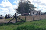 Tragedia familiar en Pirovano: tres muertos y dos jóvenes hospitalizados en Olavarría por intoxicación